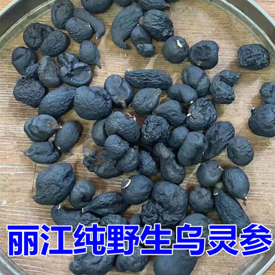 野生乌灵参云南中药材