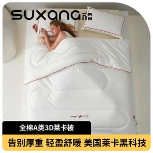被子冬被2024新款加厚保暖冬季被芯200x230cm春秋被四季通用棉被