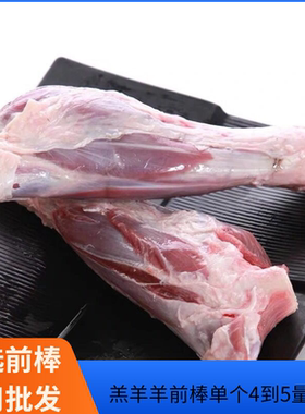羊前棒冷冻羊小腿带骨羊腱子前腿健棒骨羊前棒手抓饭食材量大优惠