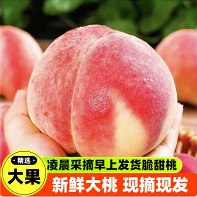 河北保定顺平新鲜大京红脆甜软硬两吃香甜水蜜桃水果应季包邮5斤