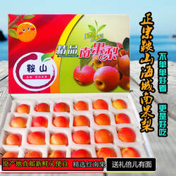 鞍山海城南果梨红南国梨子礼盒南果东北酒香孕妇送礼水果新鲜薄皮