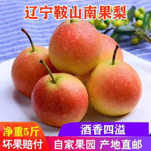 新鲜梨子鞍山南果梨味道好