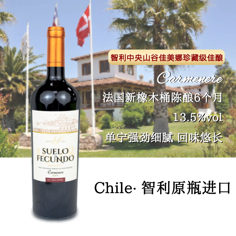 智利沃土珍藏佳美娜干红葡萄酒 珍藏级 红葡萄酒 原瓶进口红酒