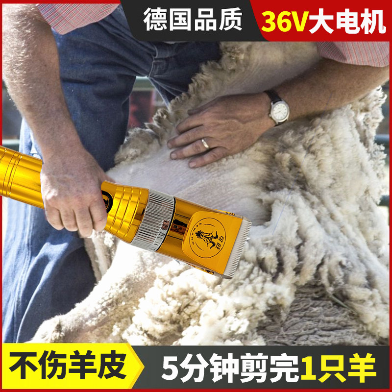 可旺羊毛电推剪绒山羊绵羊剃毛器长毛兔宠物大型犬修毛机大功率,宠物/宠物食品及用品,理毛器/电推剪,淘宝优惠券,粉丝福利购,淘宝优惠卷