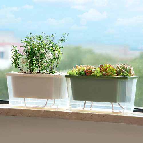 窗台种菜盆种花盆自吸水透明