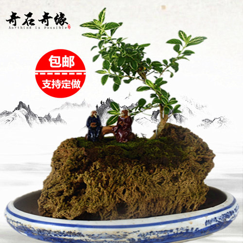 吸水石上水石石槽奇石假山水盆栽盆景植物花盆微景观附石菖蒲多肉