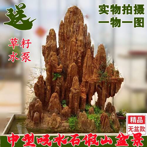 大型庭院天然上水石吸水石石头水秀石假山盆景山水室内造景镇宅石 - 封面