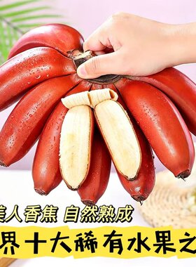 广西红美人香蕉自然熟9斤