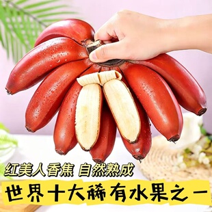 广西红美人香蕉自然熟世界十大稀有水果之一
