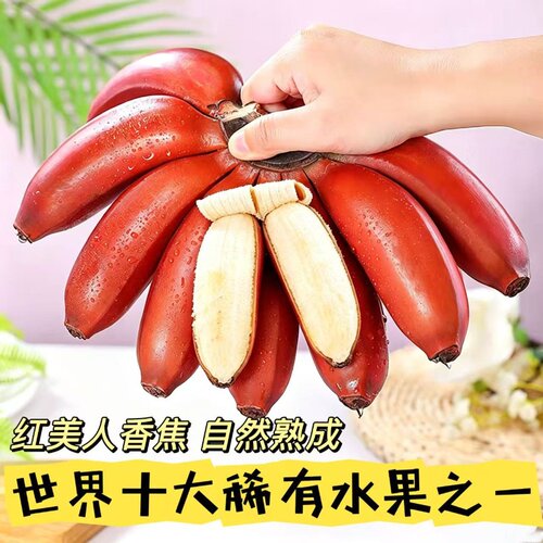 广西红美人香蕉自然熟9斤