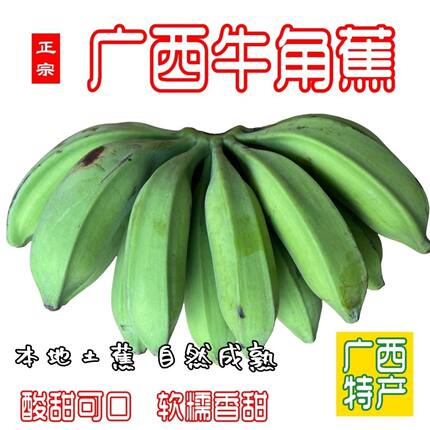 原生态广西南宁新鲜牛角蕉芭蕉皮薄肉厚无催熟剂当季现摘9斤包邮