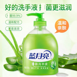蓝月亮洗手液芦荟抑菌厨卫500g