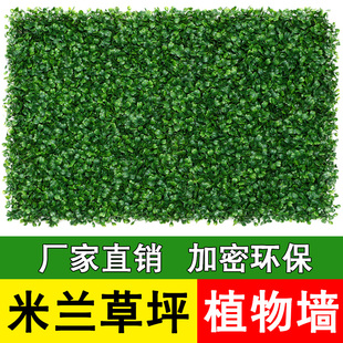 仿真米兰草坪塑料人造假草皮植物墙绿植墙面装饰室内背景花墙门头