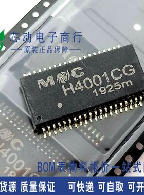 H4001CG H4001 H4001C SOP-40 网络滤波器变压器芯片 全新原装