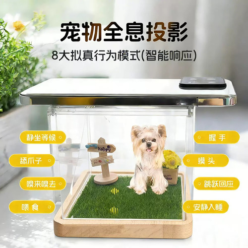 全新投影-毛孩子一直在
