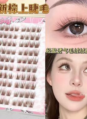 小新棕上睫毛！免胶毛绒绒轻盈透气假睫毛自然仿真巴斯夫婴儿睫