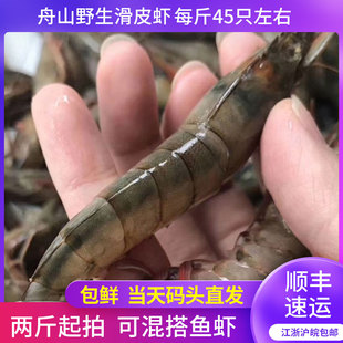 海鲜深海野生大号滑皮虾舟山野生海虾鲜活对虾海鲜海捕冷冻2斤装
