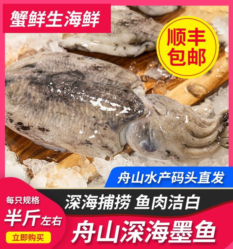 舟山海鲜墨鱼目鱼乌贼鲜活冷冻水产冰鲜1斤2-3只渔船直发3斤装,水产肉类/新鲜蔬果/熟食,冷冻墨鱼/冷冻墨鱼仔,淘宝优惠券,粉丝福利购,淘宝优惠卷