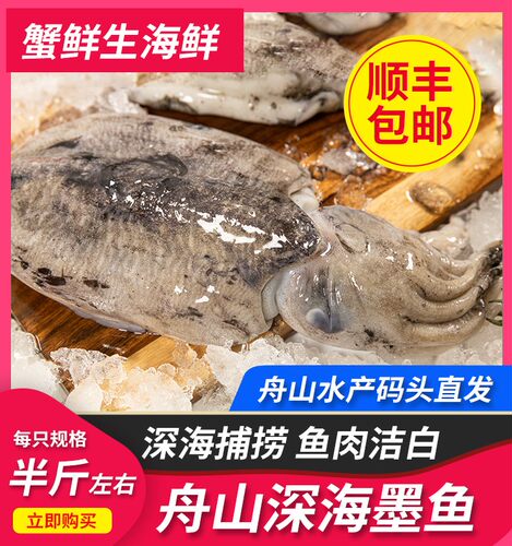 舟山海鲜墨鱼目鱼乌贼鲜活冷冻水产冰鲜1斤2-3只渔船直发3斤装