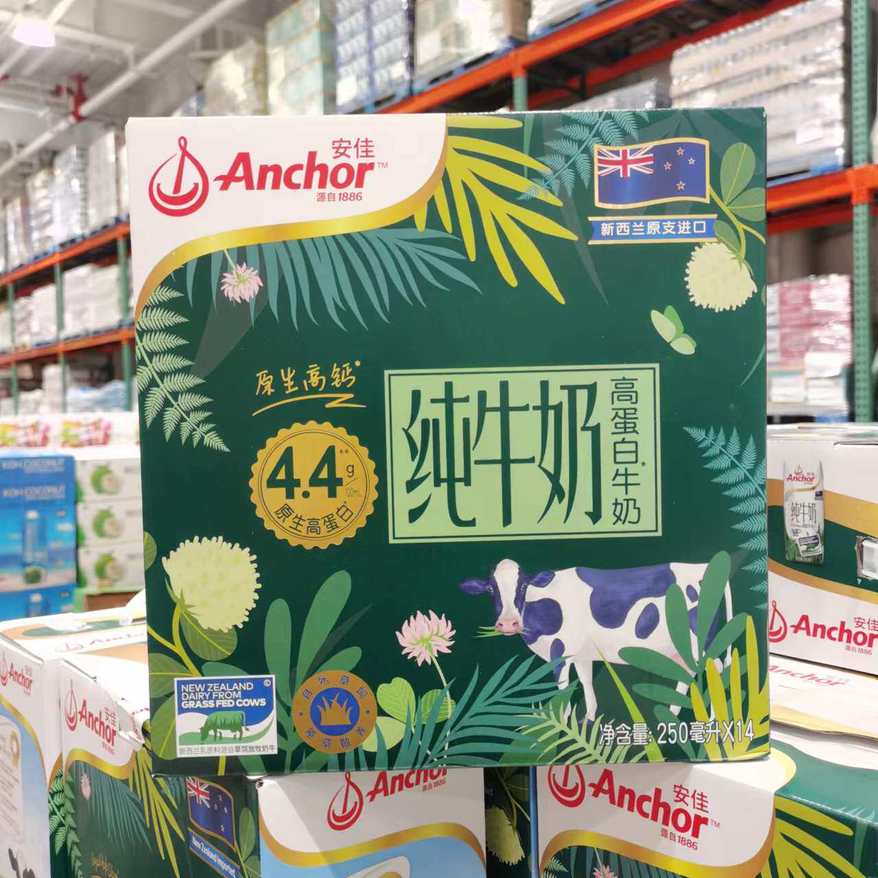新西兰进口安佳高蛋白牛奶250ml*14早餐奶儿童奶costco代购开市客