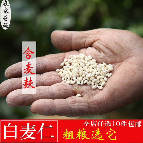 【粗粮谷物】自产麦仁米五谷小麦仁一起去皮满大麦仁脱壳创业250g