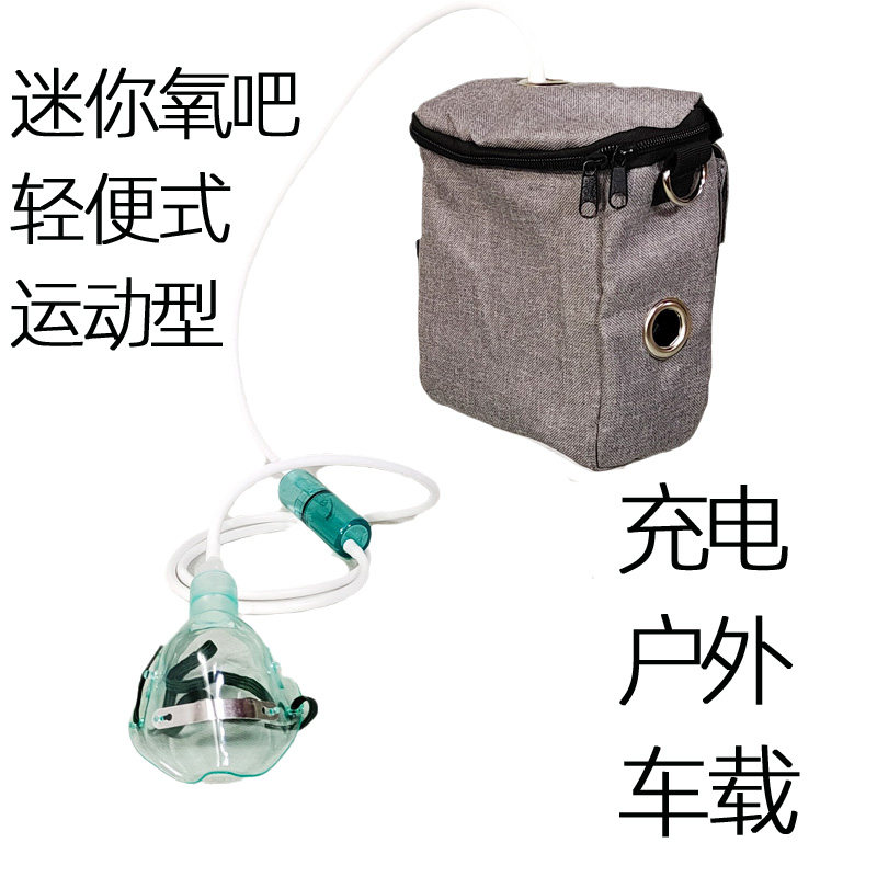 车载制氧分子筛车内户外氧吧迷你
