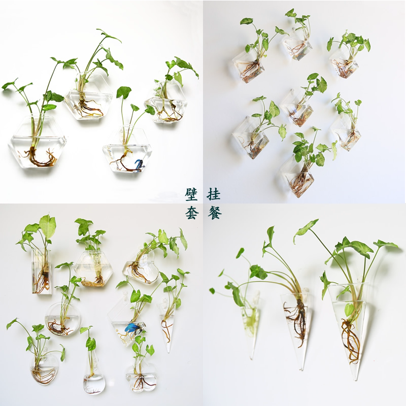 创意壁挂鱼缸壁饰墙饰挂壁水培玻璃花瓶卧室客厅店墙面墙上装饰品