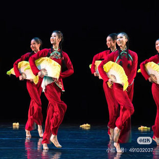 扇子舞蹈演出服大地胶州秧歌同款舞蹈服中国风喜庆腰鼓表演服套装