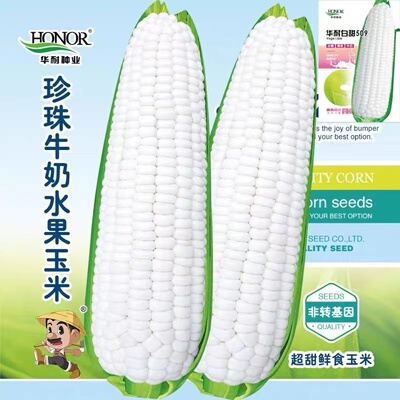 冰糖爆浆超甜珍珠白牛奶水果玉米