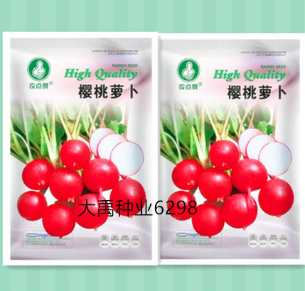 樱桃萝卜种迷你萝卜种籽