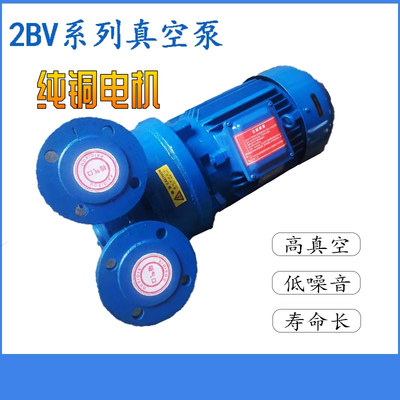 2BV系列水环式真空泵不锈钢材质电动工业用雕刻机配件优质带水箱