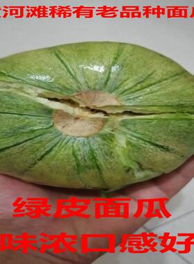黄河滩老面瓜黄河滩老面瓜