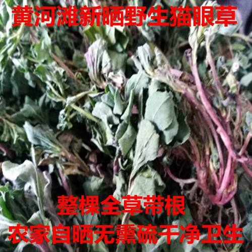 野生猫眼草 泽漆 五朵云 新品干货 中药材 新鲜晒干500g包邮