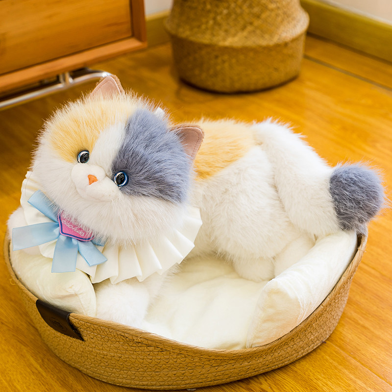 新款正版可爱三花猫公仔带围兜会叫布偶猫玩偶儿童生日礼物送女孩