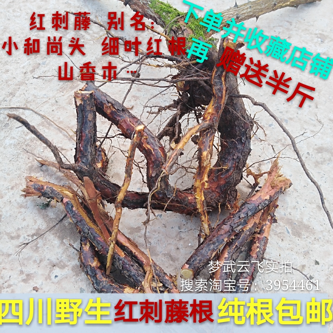 药材 红刺藤根 小和尚头 细叶刺根 倒钩刺 山香木纯根 22一斤包邮