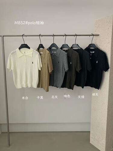 HXL-M852 秋季新款polo领刺绣短袖T恤女休闲百搭老钱风时尚上衣女
