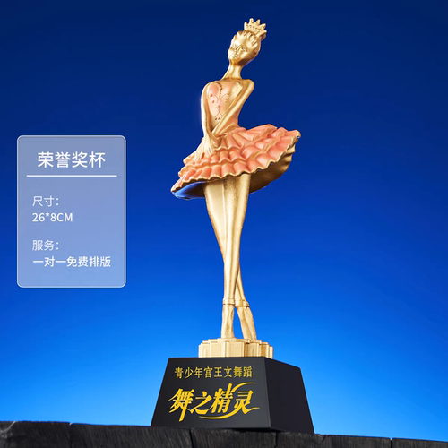舞蹈比赛金属儿童学校跳舞拉丁舞芭蕾舞广场舞才艺