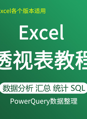 Excel数据透视表教程 分析汇总PowerQuery数据整理全套视频教学