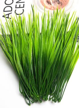 小春草仿真叶子DIY手工绿植小草墙壁装饰水草蛋糕造景塑料假花
