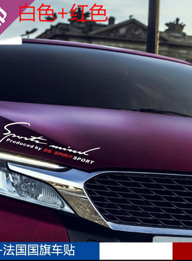 适于雪铁龙灯眉贴DS 4S DS5 DS6 DS5LS 反光贴 改装 灯尾贴纸装饰