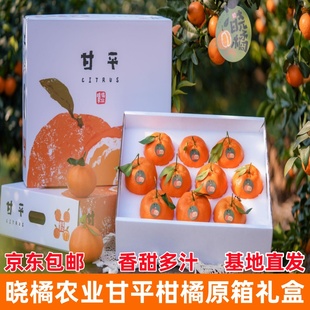 晓橘甘平柑橘礼盒装新鲜水果四川眉山柑橘皇后小金牛桔子非粑粑柑