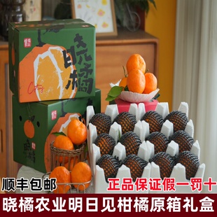 顺丰晓橘明日见柑橘皇后大雅柑新鲜水果纯甜橘子升级款甘平耙耙柑