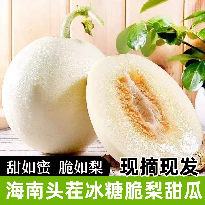 头茬海南冰糖脆梨甜瓜现摘新鲜白皮白玉甜瓜当季脆甜蜜宝小香瓜,水产肉类/新鲜蔬果/熟食,甜瓜,淘宝优惠券,粉丝福利购,淘宝优惠卷