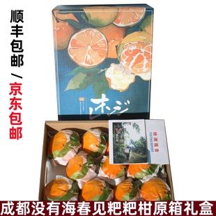 成都没有海春见粑粑柑原箱礼盒当季新鲜水果四川眉山甜柑橘大雅柑