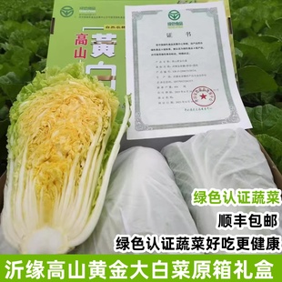 顺丰沂缘金麦穗高山黄金白菜当季 新鲜蔬菜黄心大白菜绿色认证蔬菜