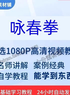 咏春拳视频教程教学木人桩教程寻桥小念头功力训练武术健身课程