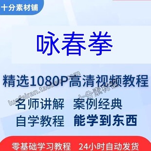 咏春拳视频教程教学木人桩教程寻桥小念头功力训练武术健身课程
