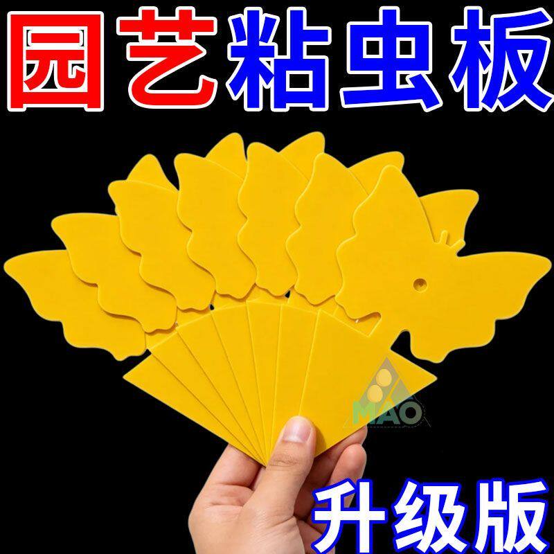 小黄板粘虫板双面诱虫板黏沾虫小飞虫粘板家用强力粘蝇纸花卉蝴蝶