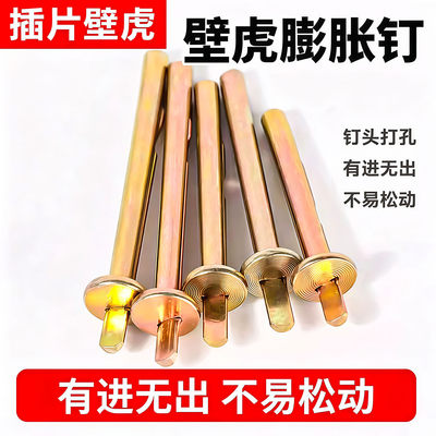 彩锌插片壁虎膨胀螺丝敲击式膨胀钉水泥墙快速打入式膨胀螺栓6mm