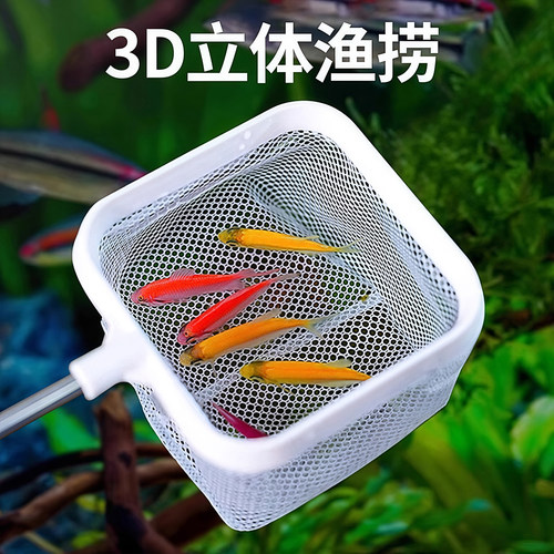 鱼捞捞鱼网鱼缸网捞小鱼小号3D渔捞抄网兜密网手抄鱼网鱼捞可伸缩